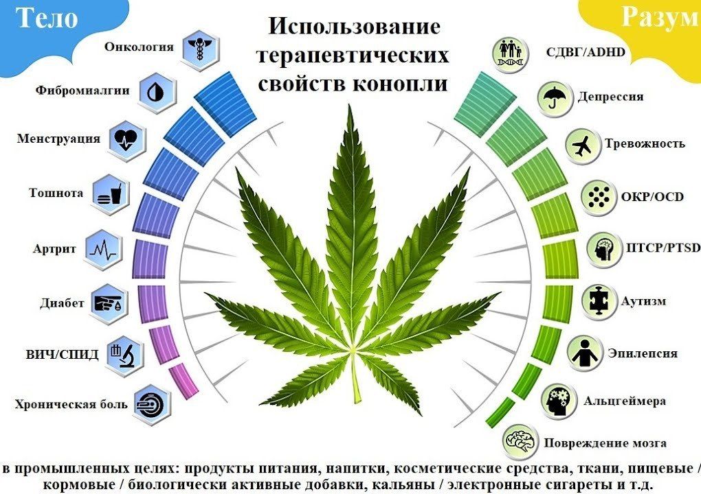Россия лечение марихуаной как курить шмаль