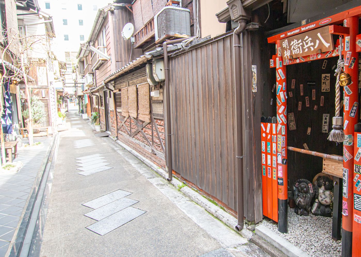 raw-image