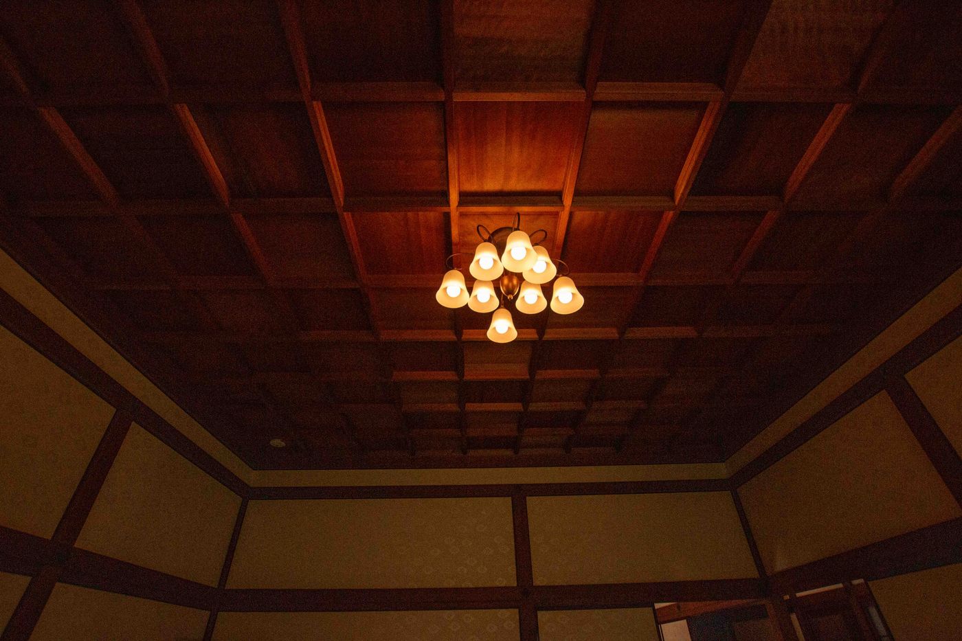 raw-image