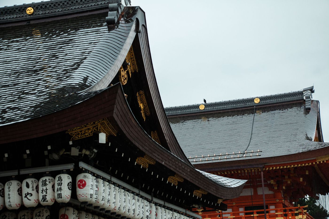 raw-image