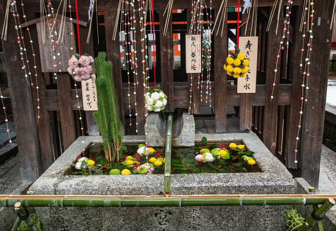花手水社 疫情影響對花店也造成衝擊,社寺將花材裝飾在淨手之處