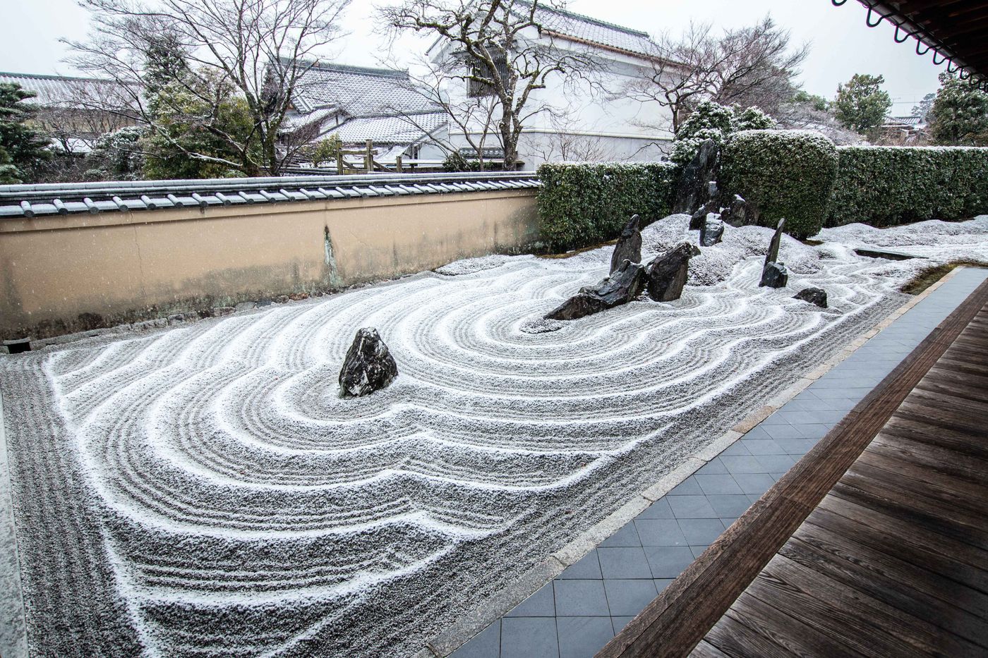「獨坐庭」