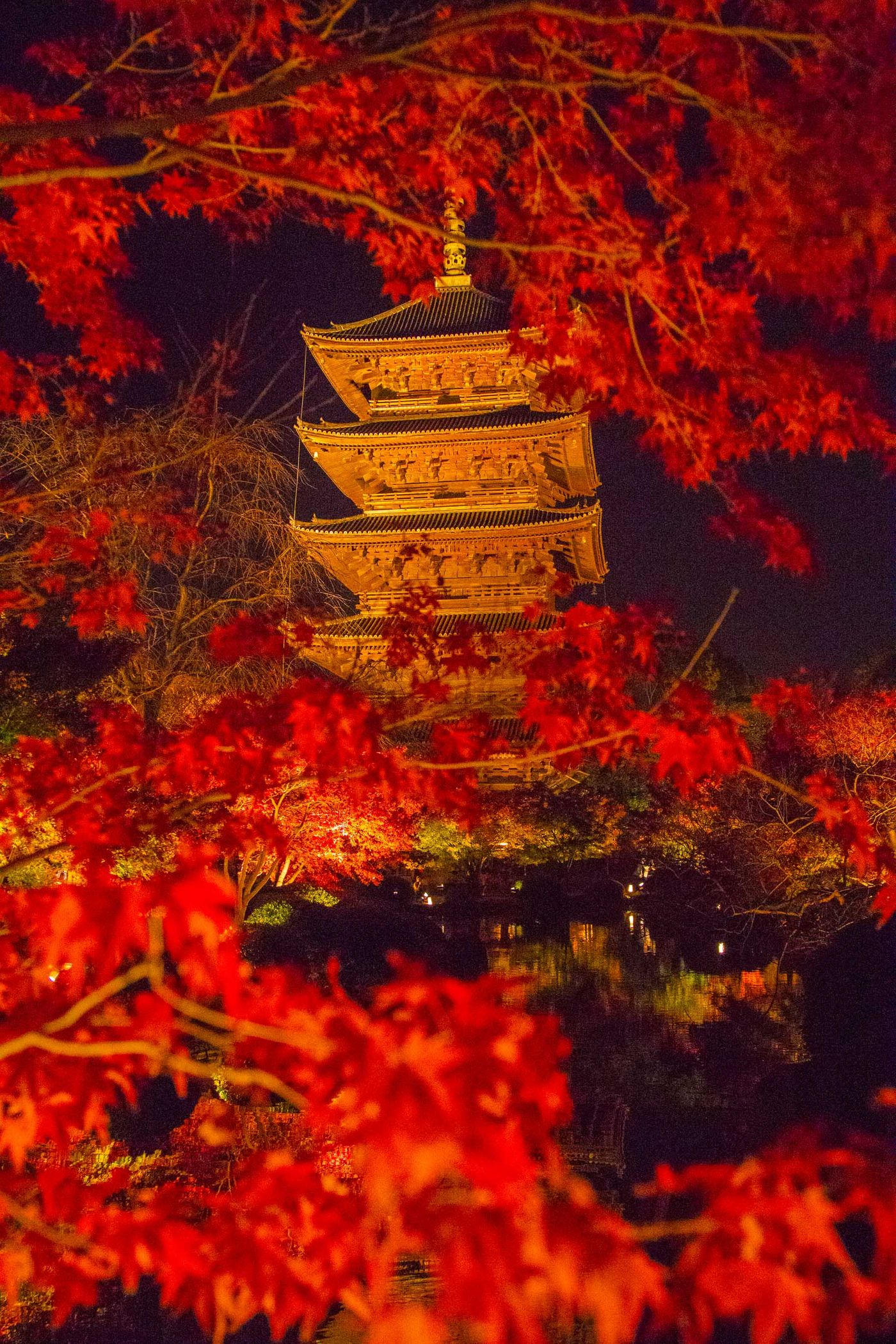 秋楓