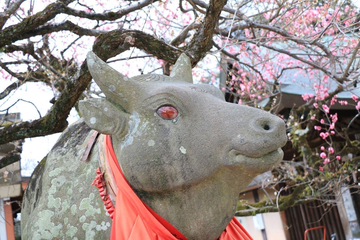 神使牛