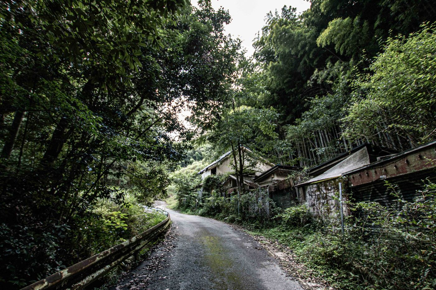 raw-image