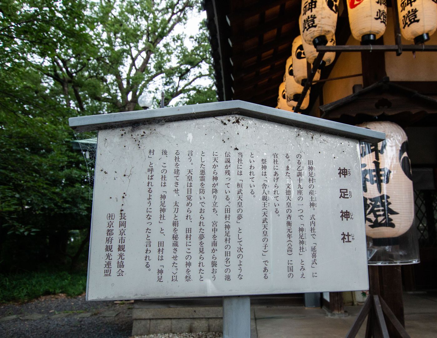 raw-image
