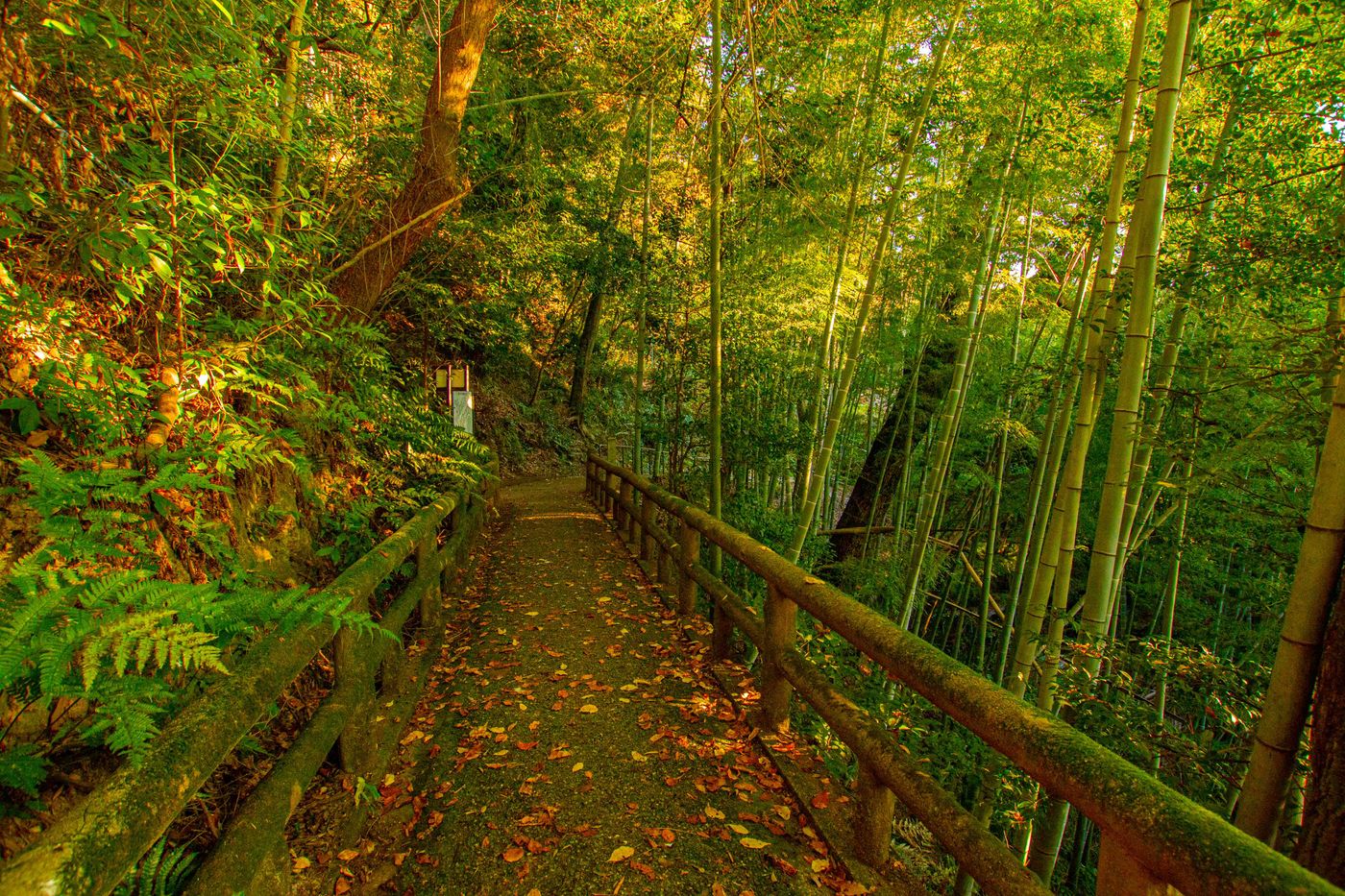山路約十五分鐘