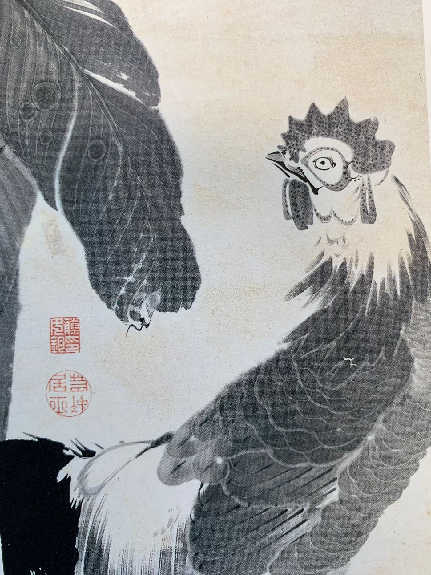 raw-image