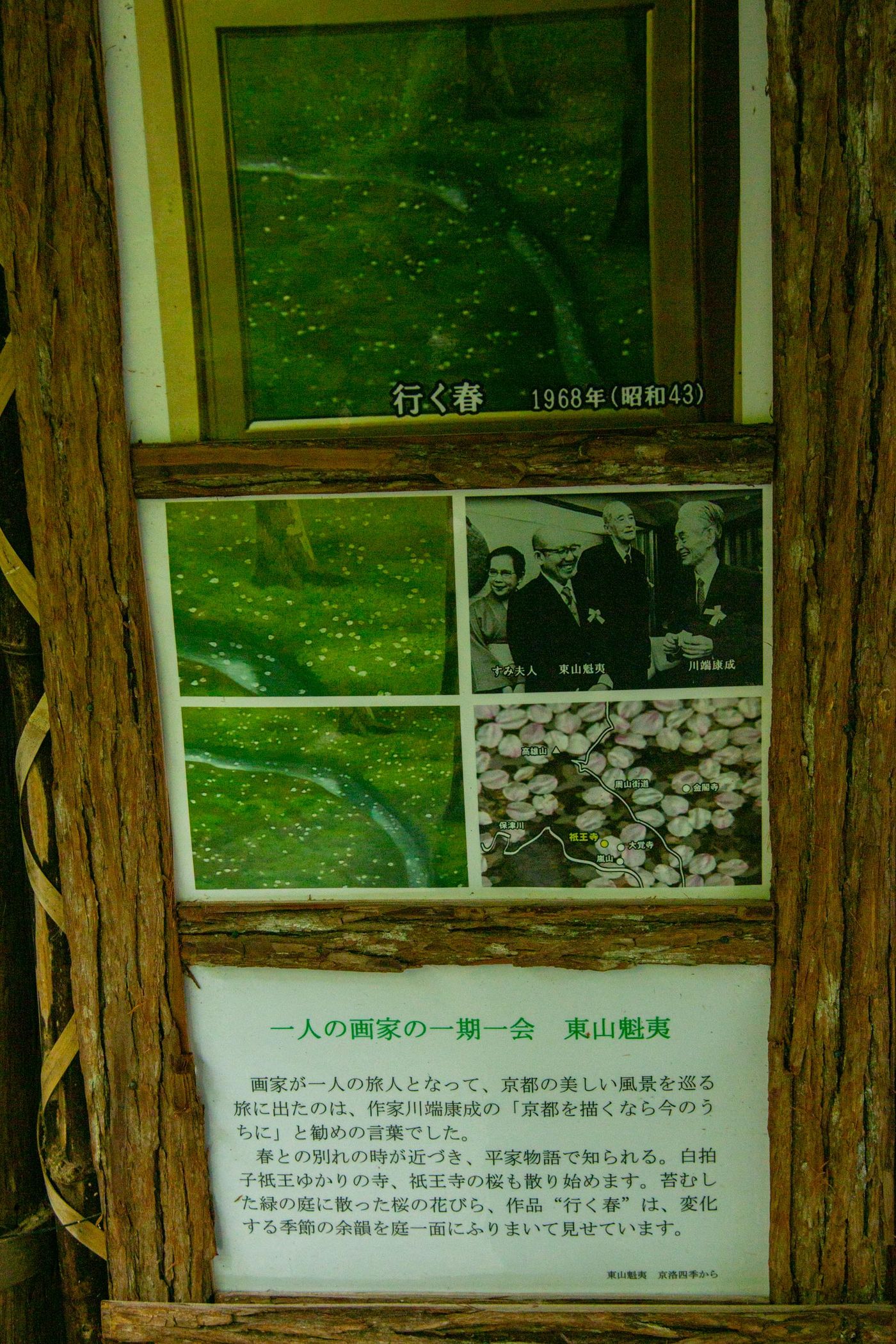 raw-image
