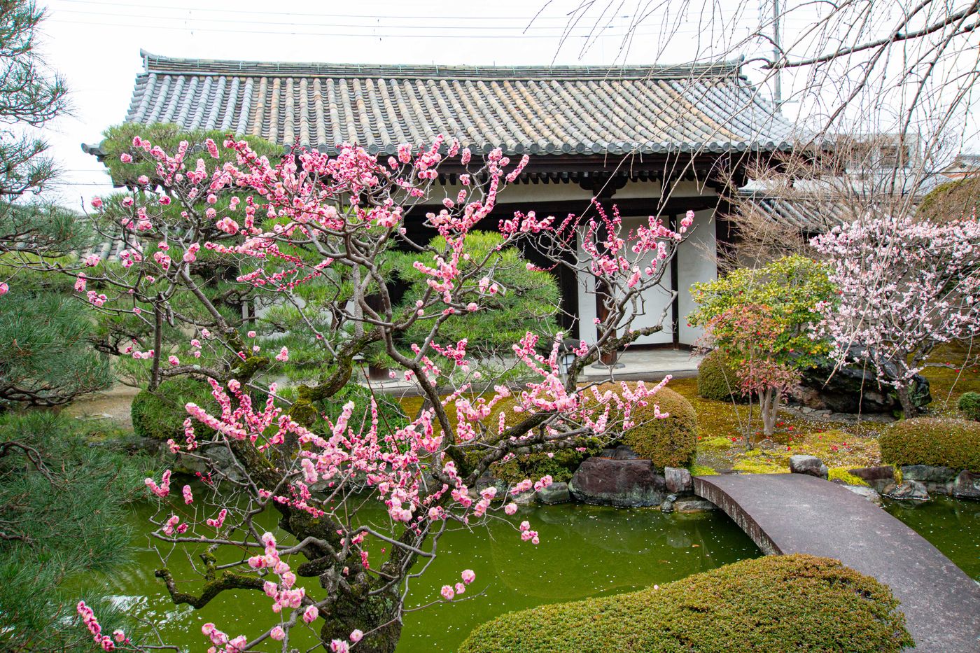 小子房庭園