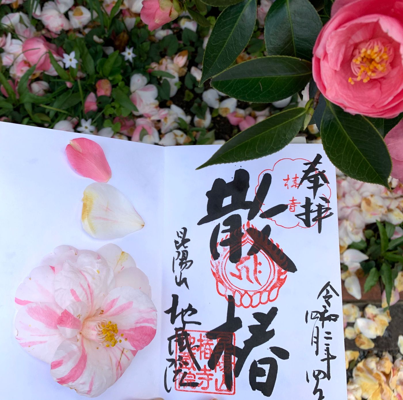朱印