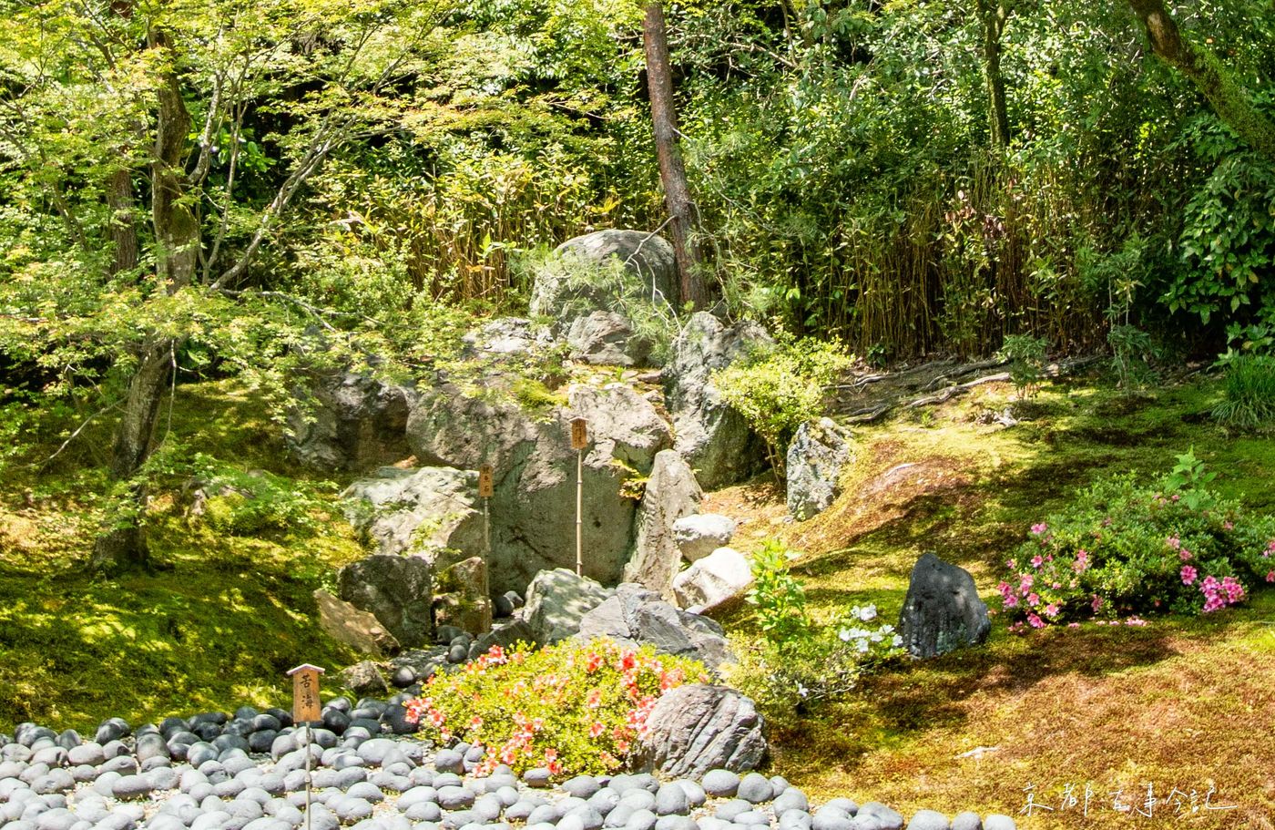 「龍門瀑」