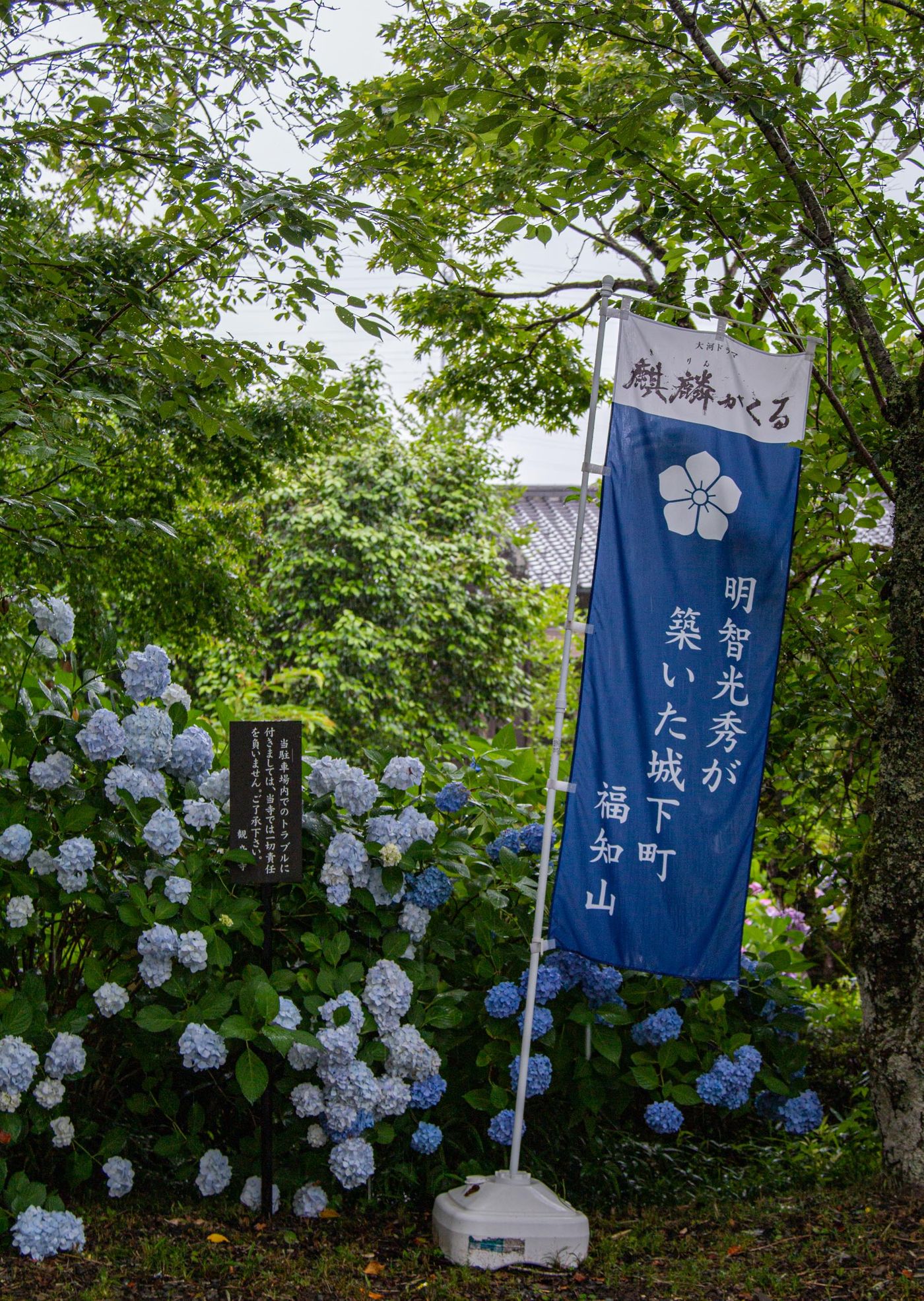raw-image