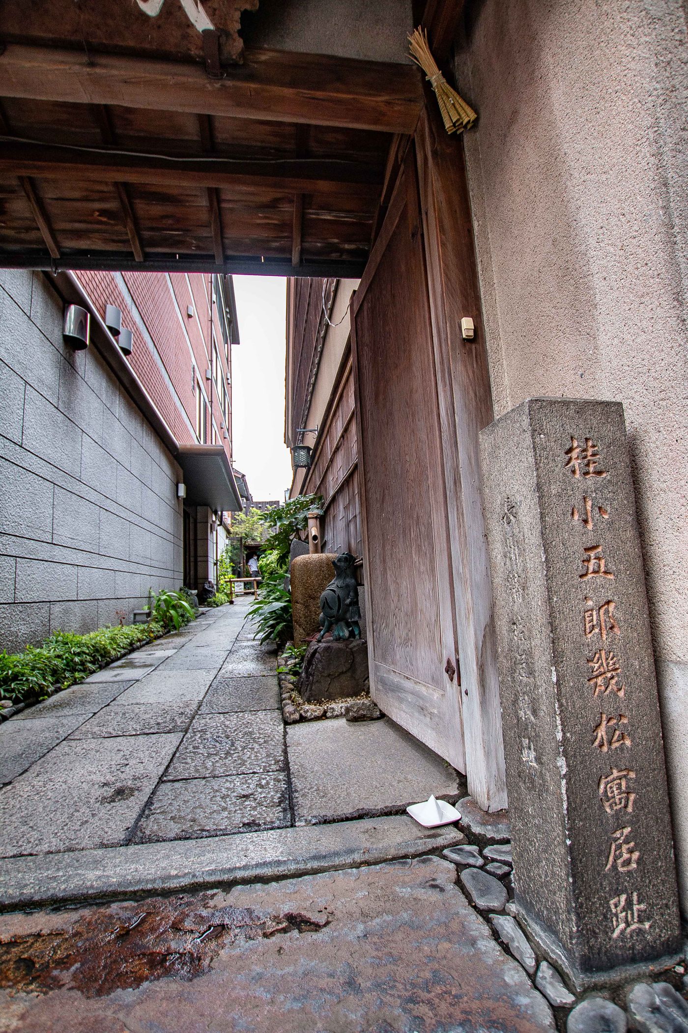 raw-image