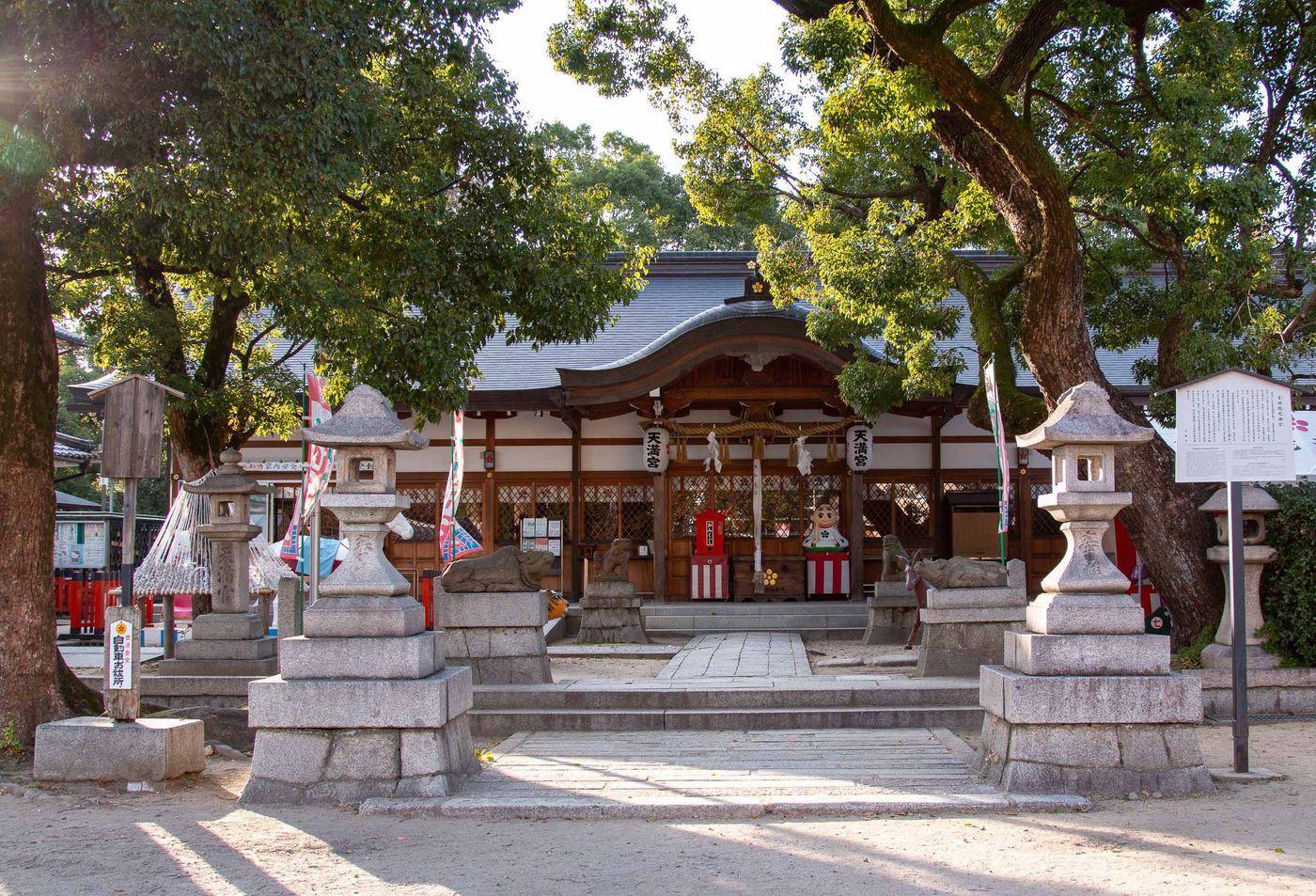 raw-image