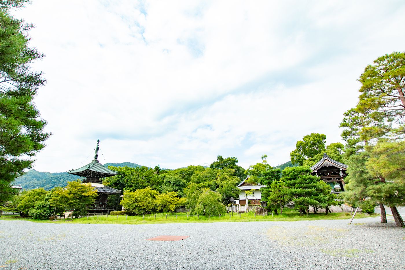 清涼寺2021.7.26攝影