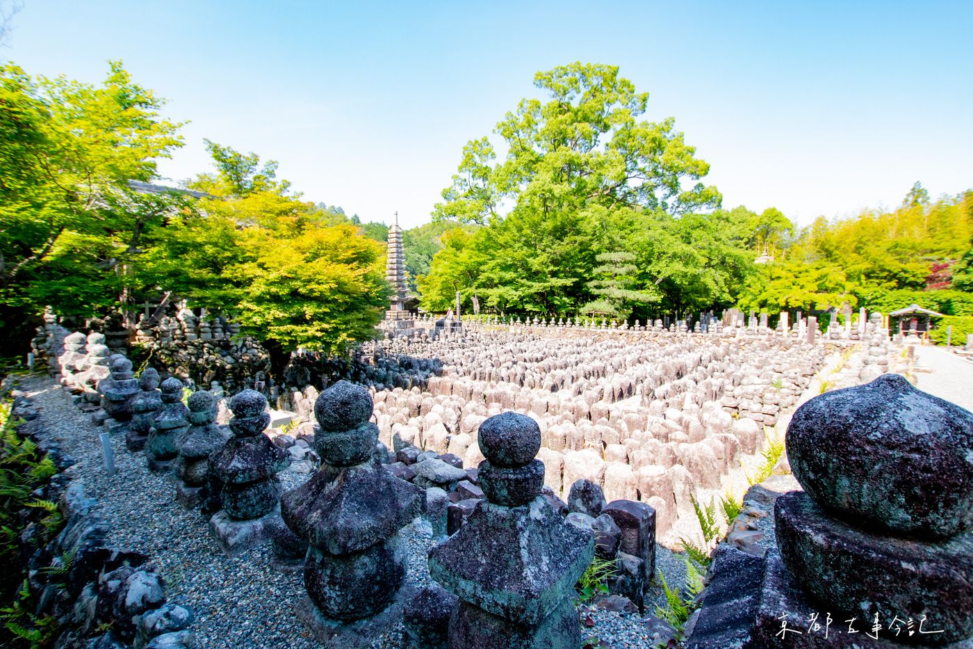 化野念佛寺2021.6.1攝影