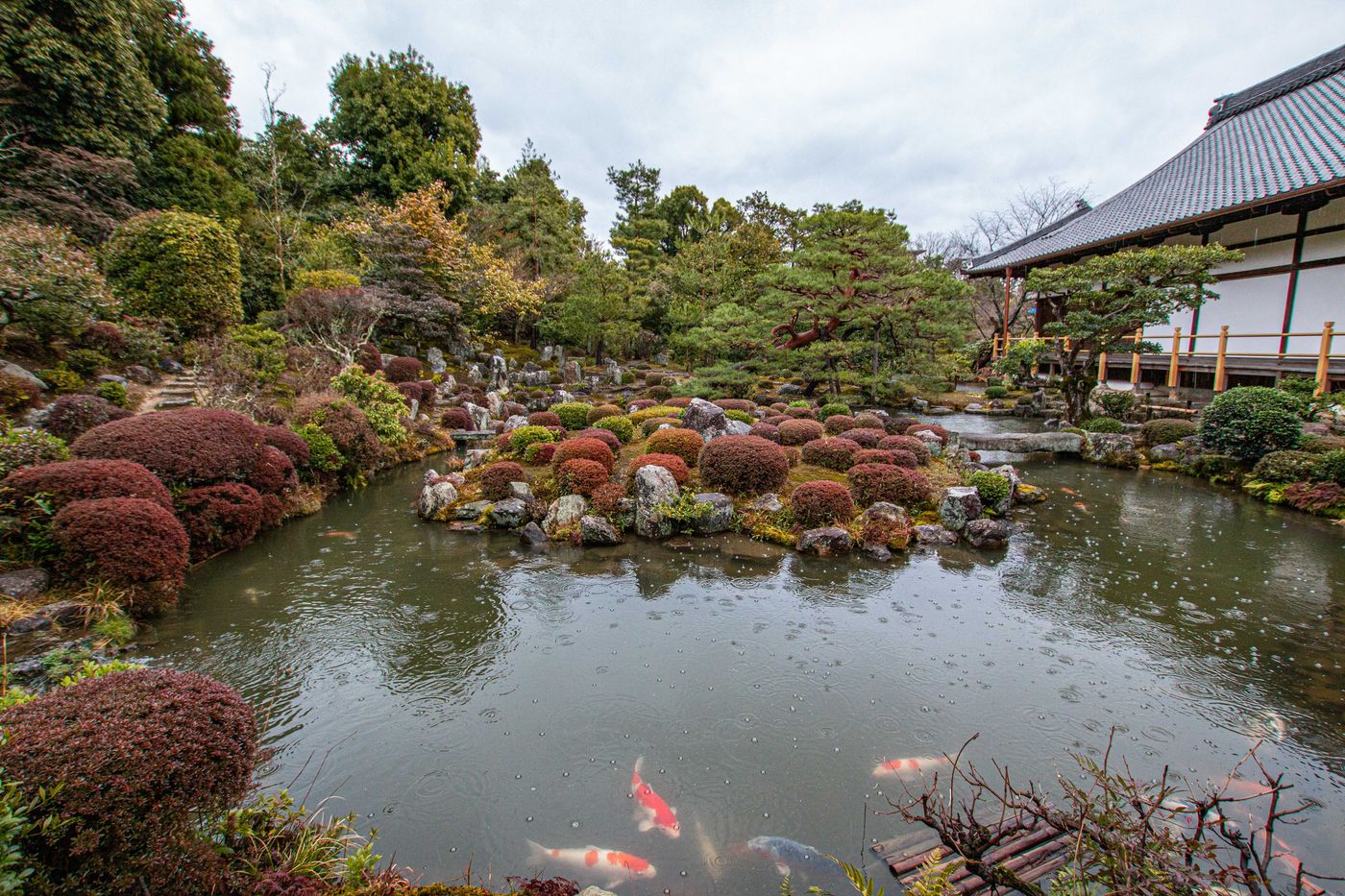 芙蓉池聽雨聲
