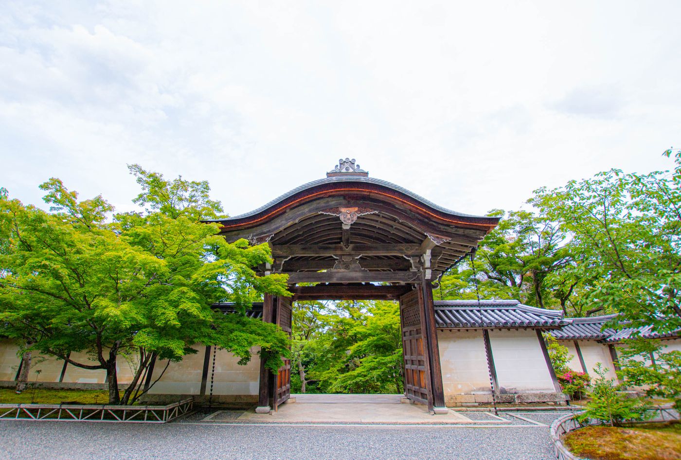 raw-image