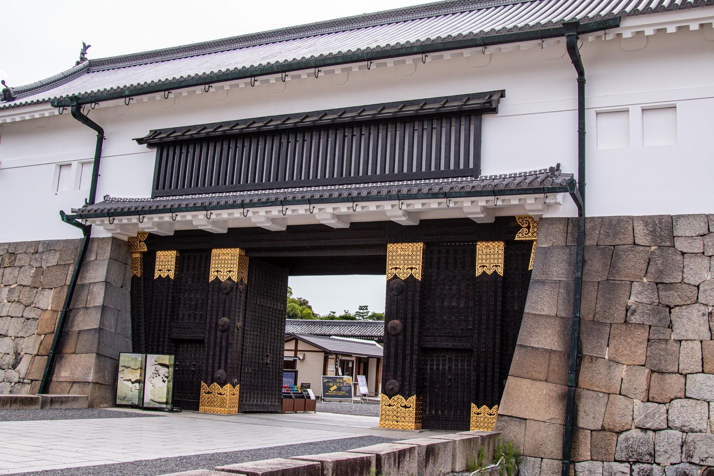 raw-image