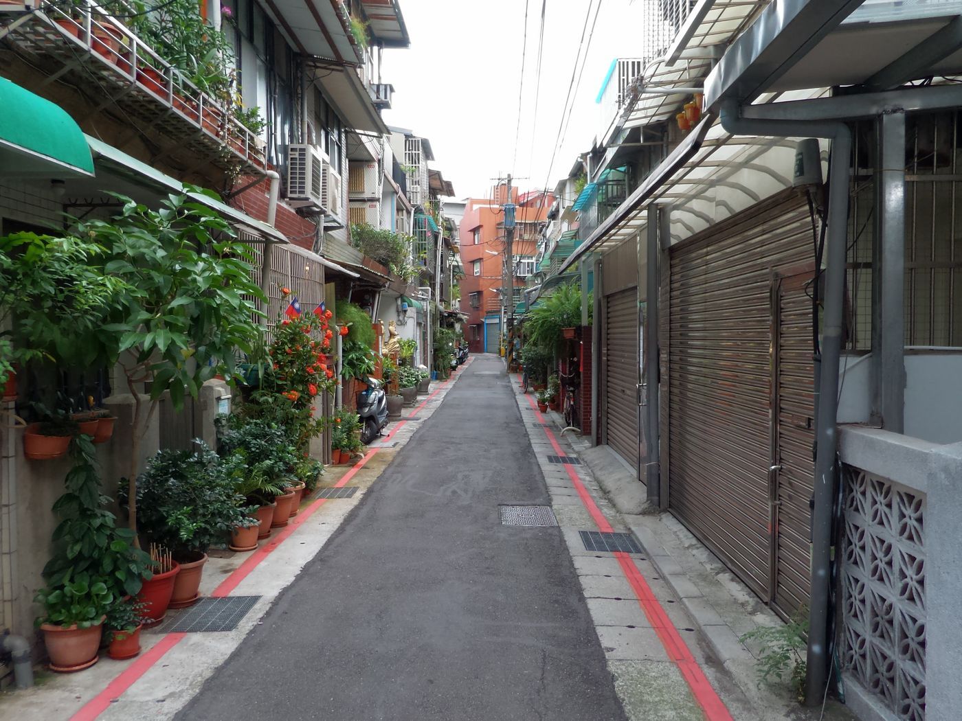 圖檔
