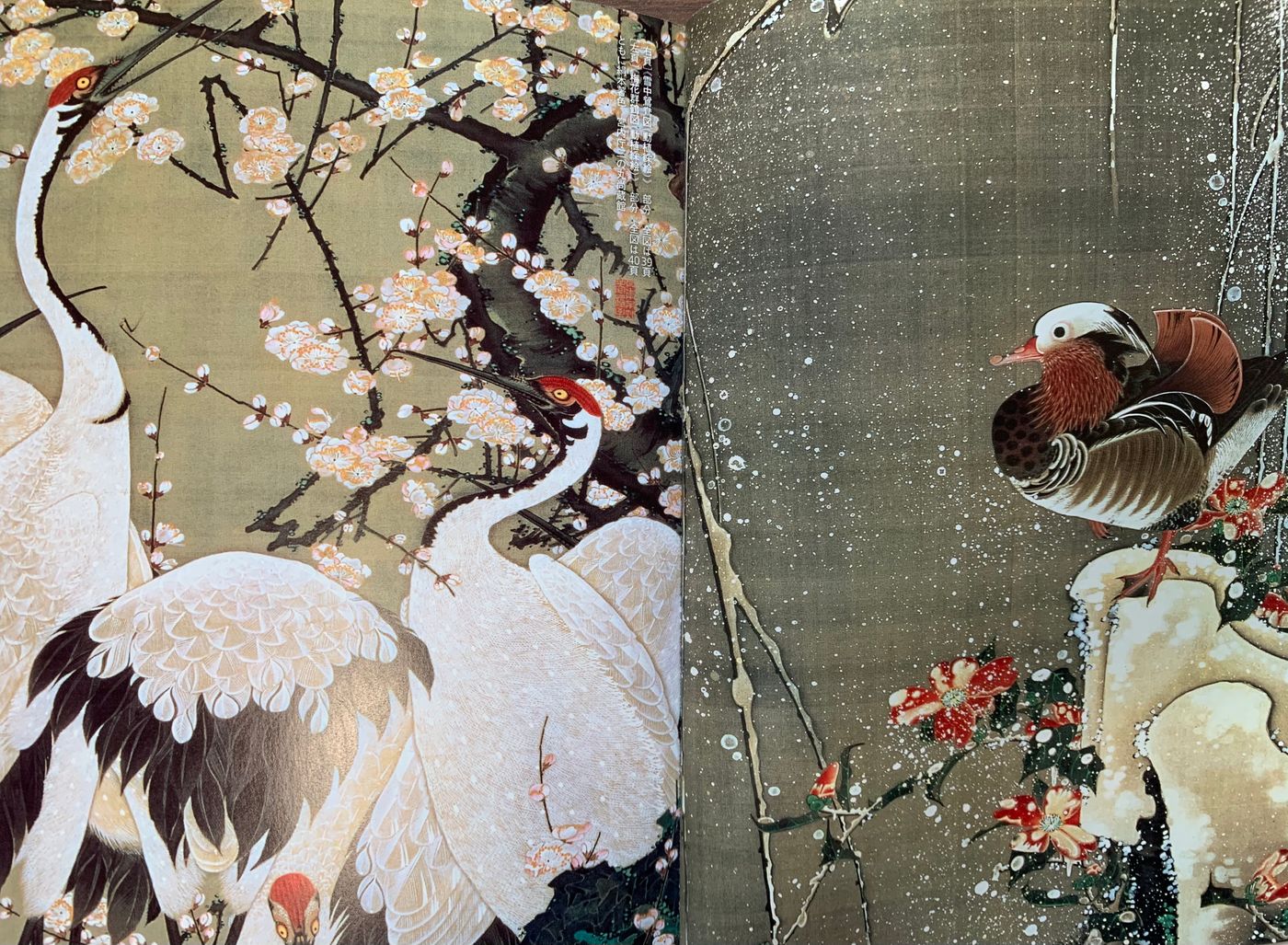 『動植綵繪』日本美術史動植物花鳥圖的巔峰之作