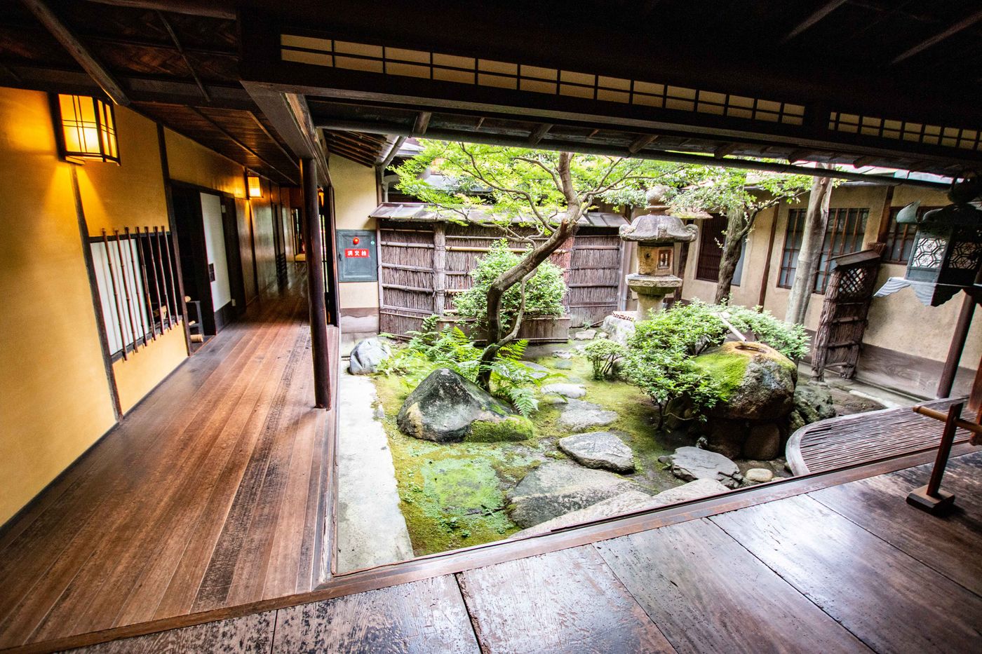 raw-image