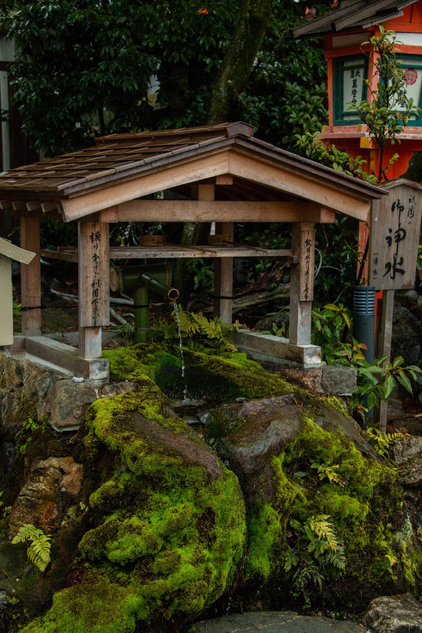 盛傳本殿下有巨大水池,青龍潛居池內