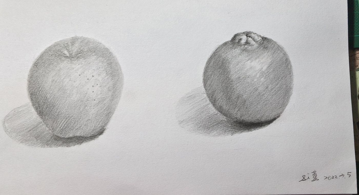 水果素描1