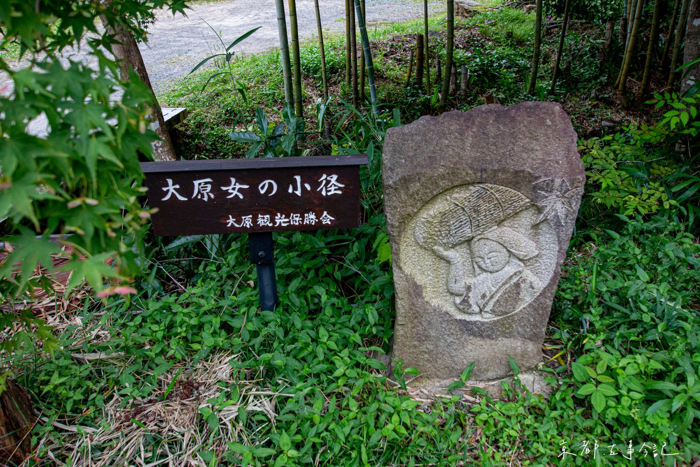 raw-image