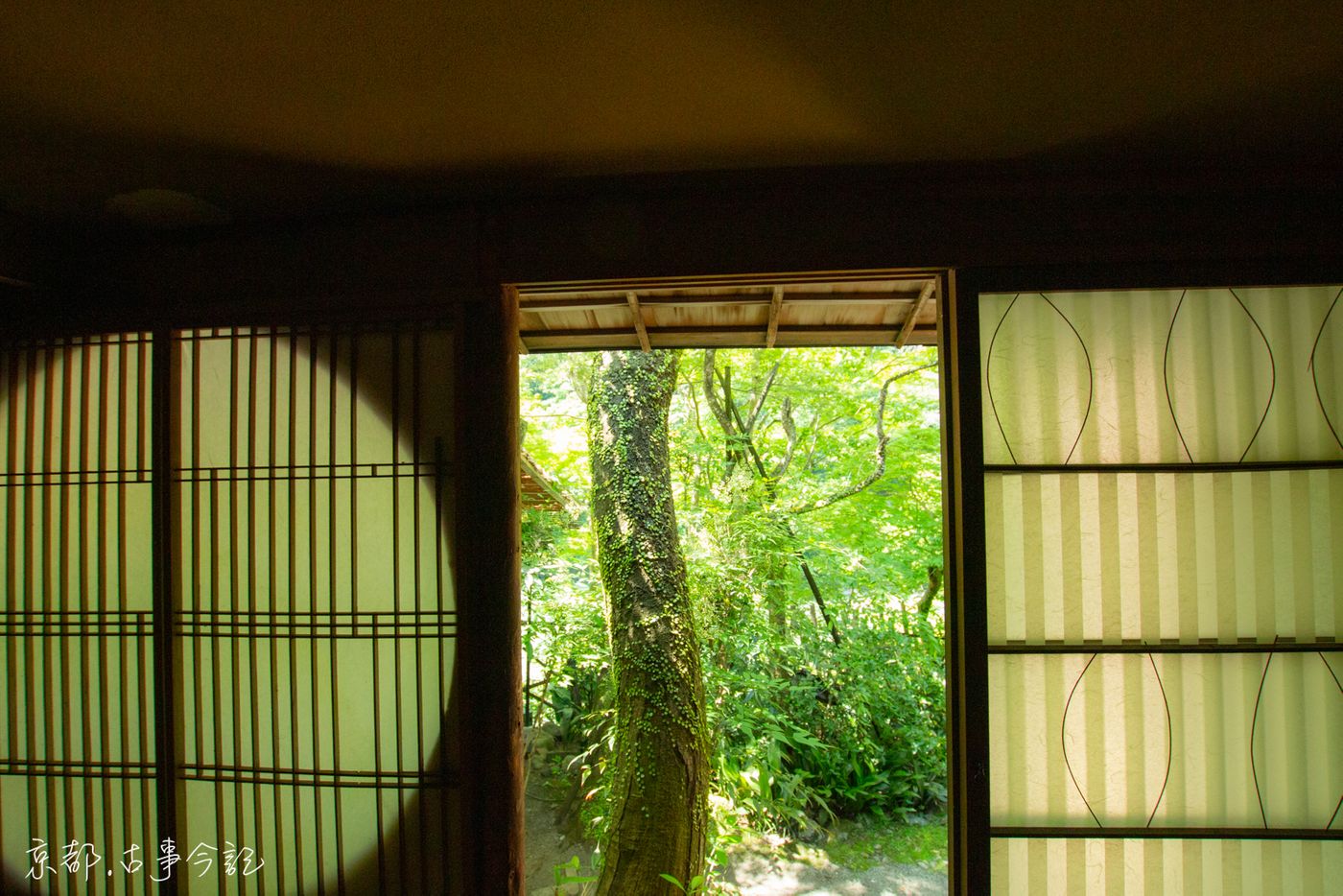 raw-image