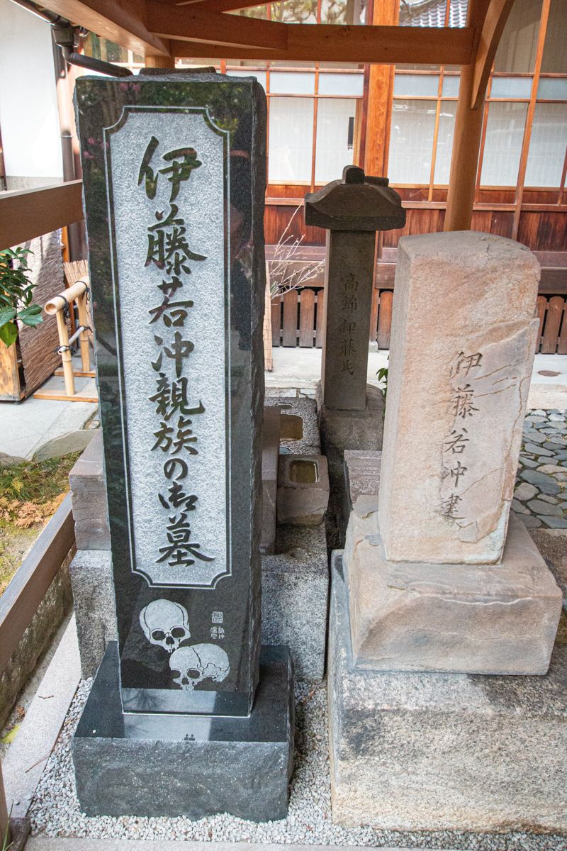 raw-image