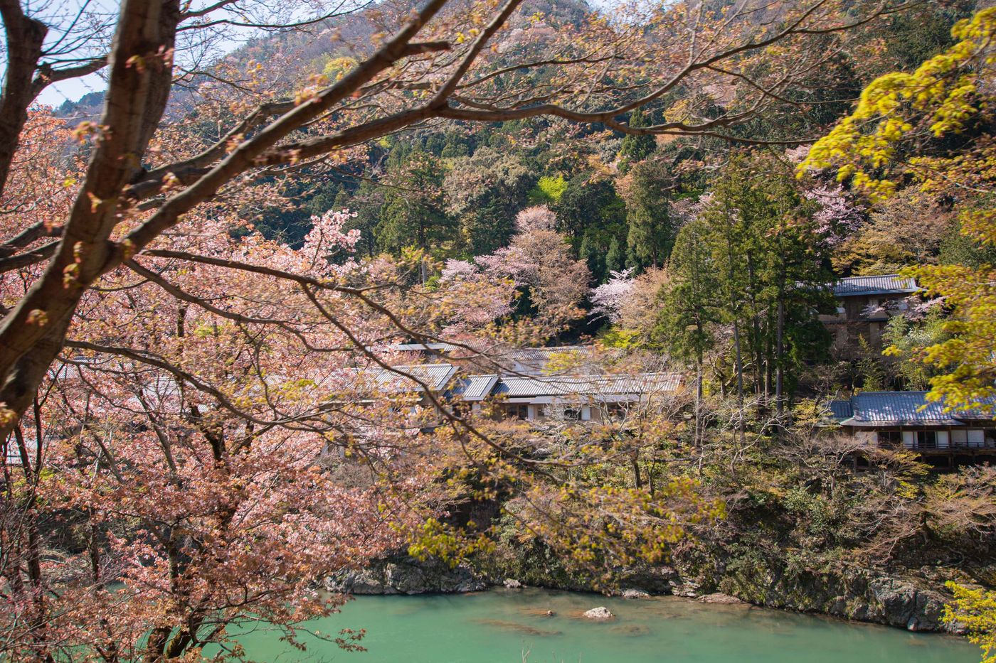星野飯店 大悲閣千光寺