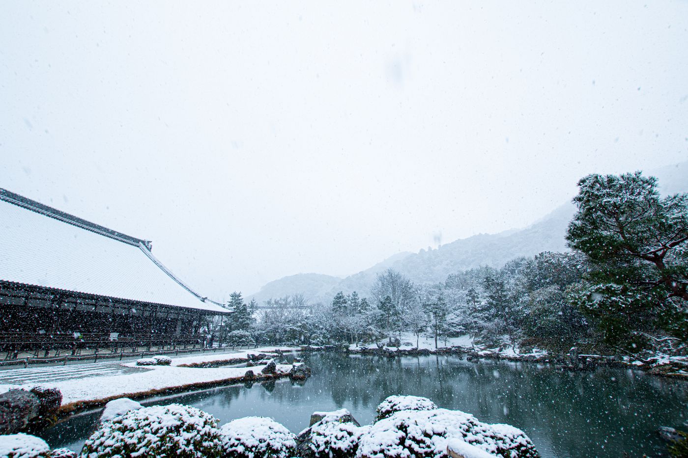 雪中的天龍寺是我心中永遠的白月光。