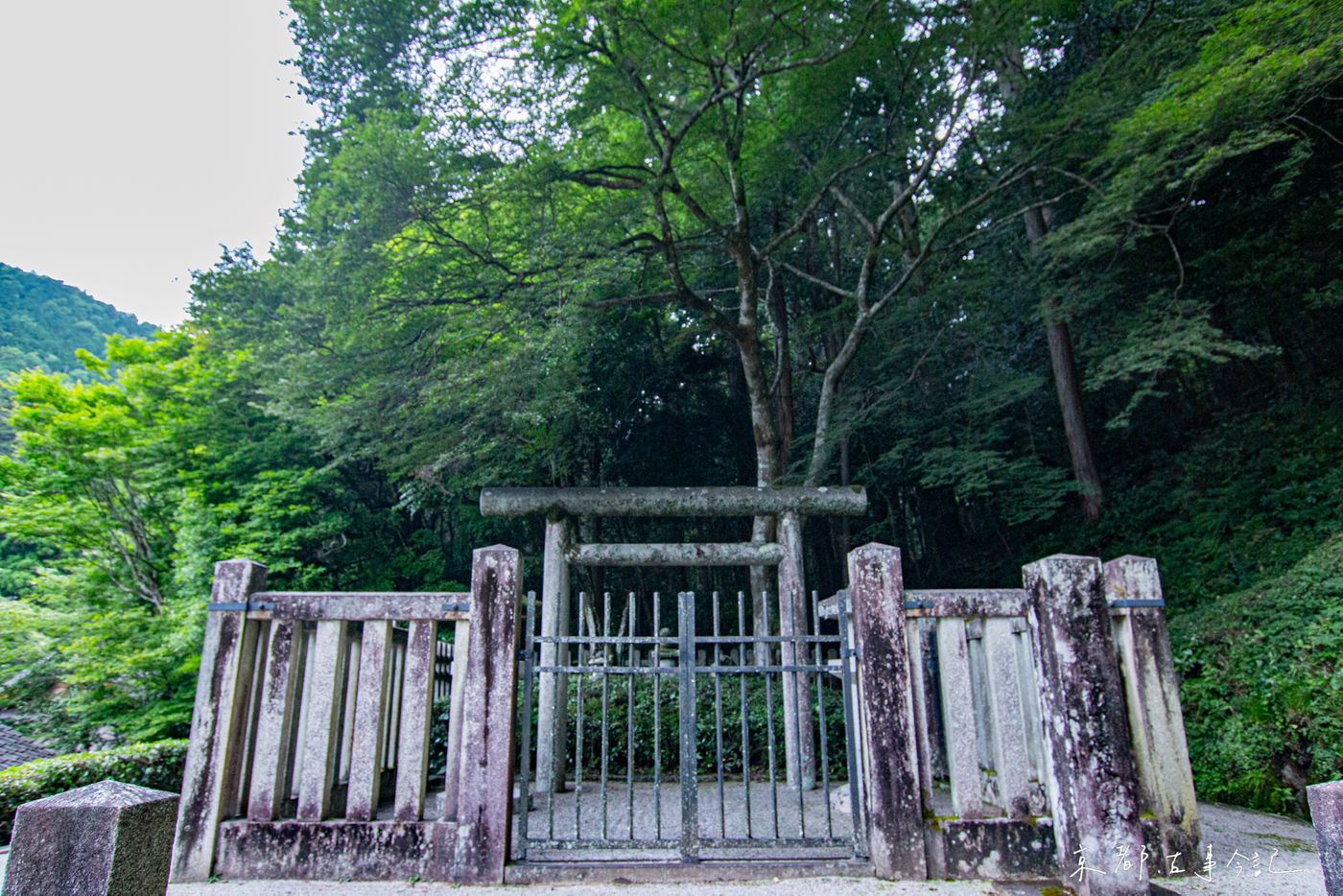 raw-image
