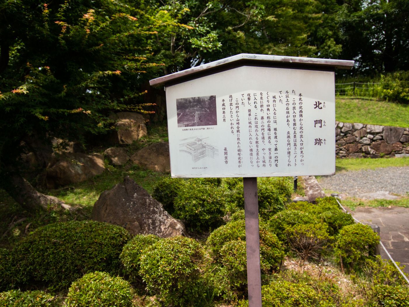 raw-image