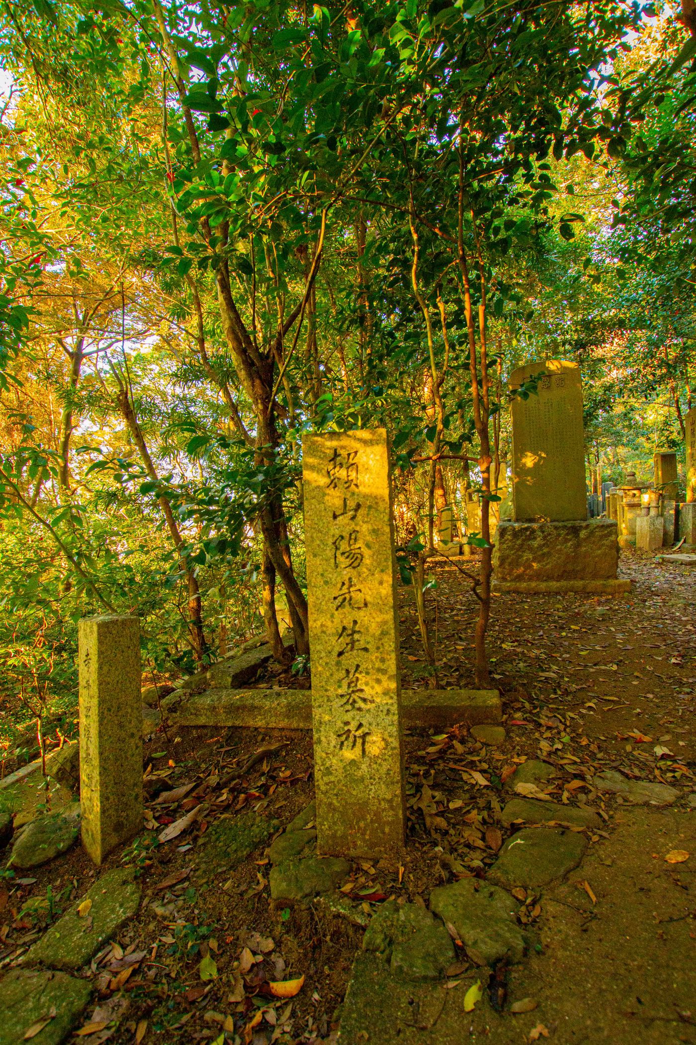 江戶時代文人賴山陽之墓