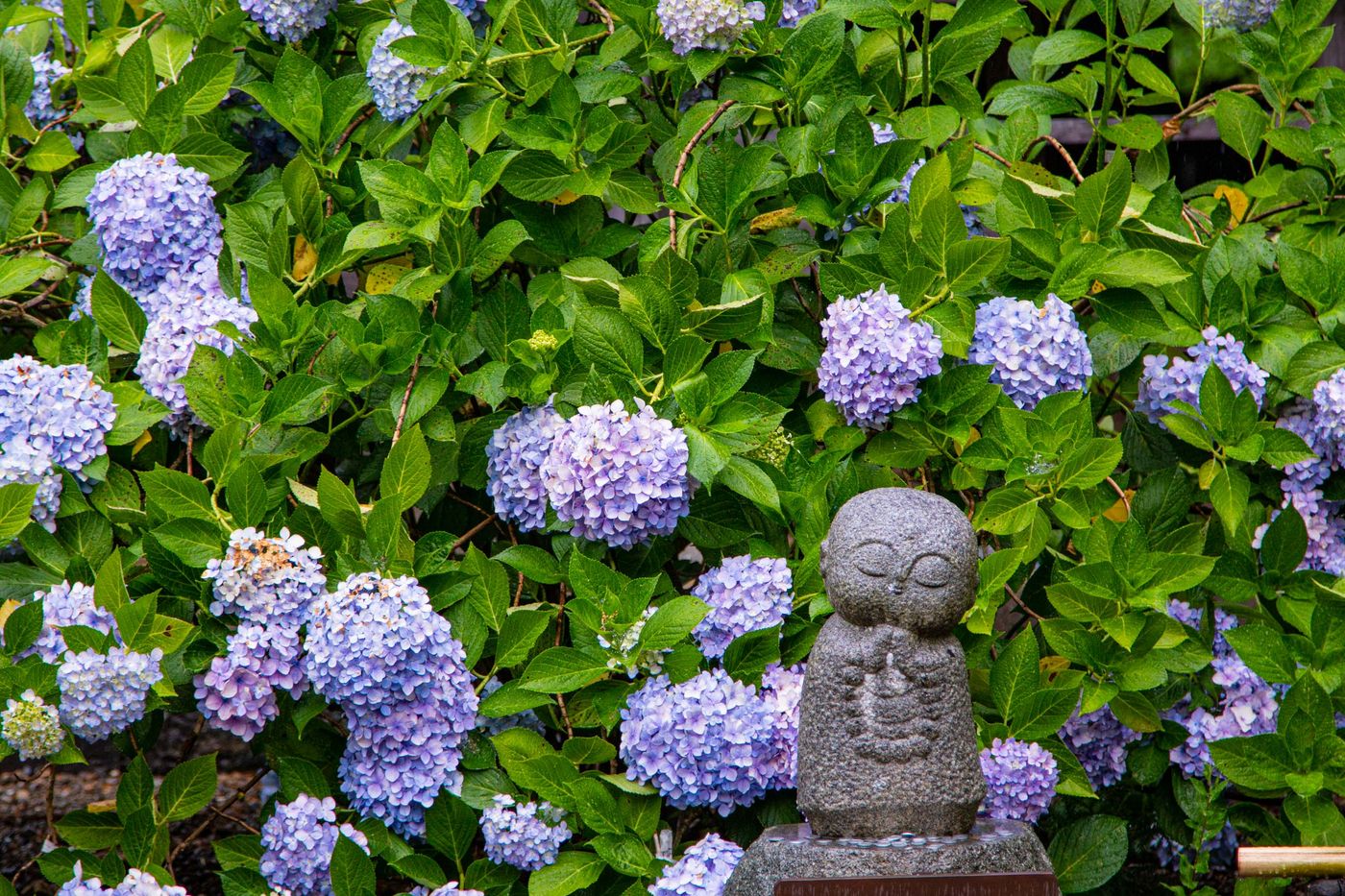童地藏