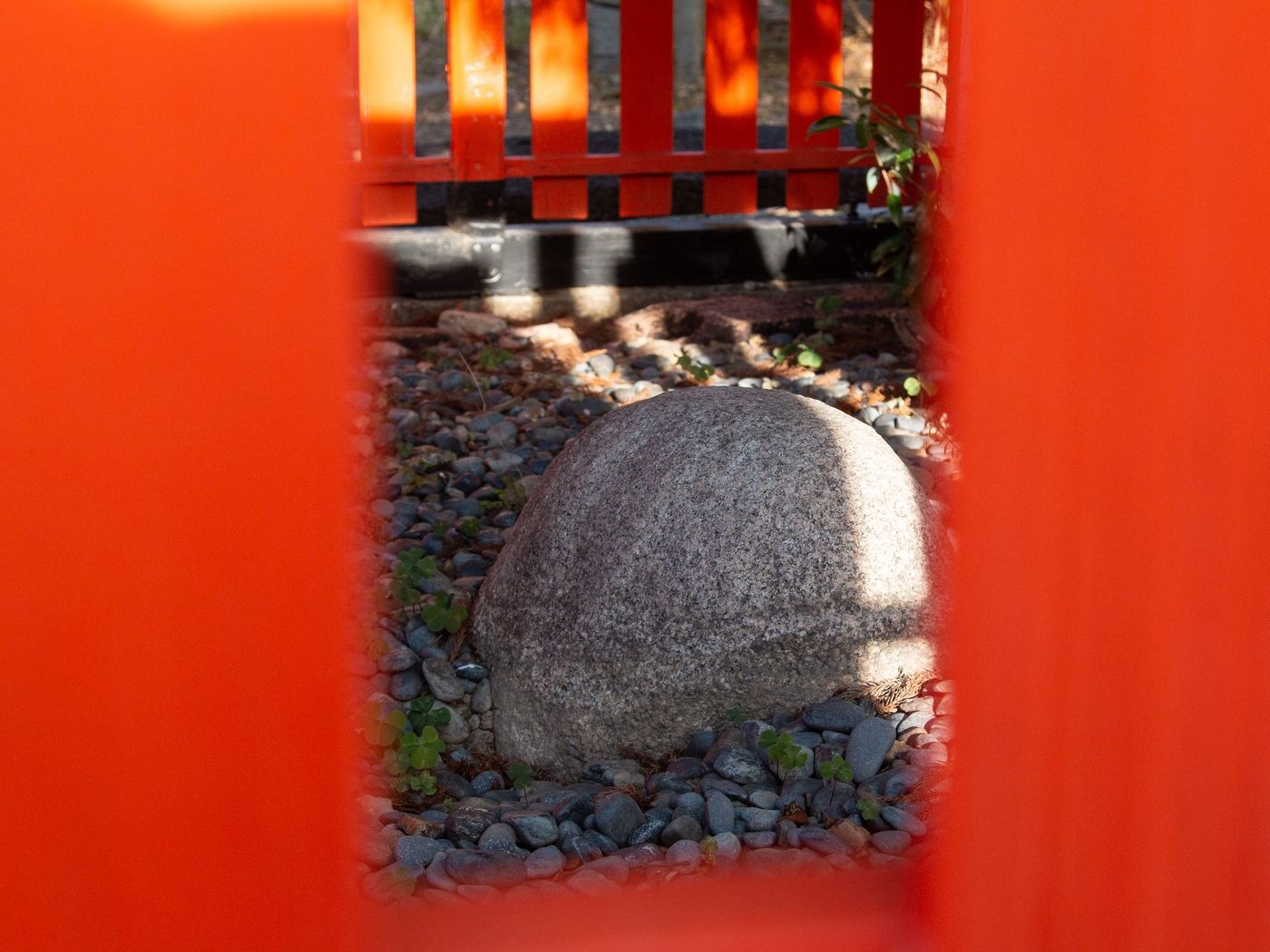 raw-image