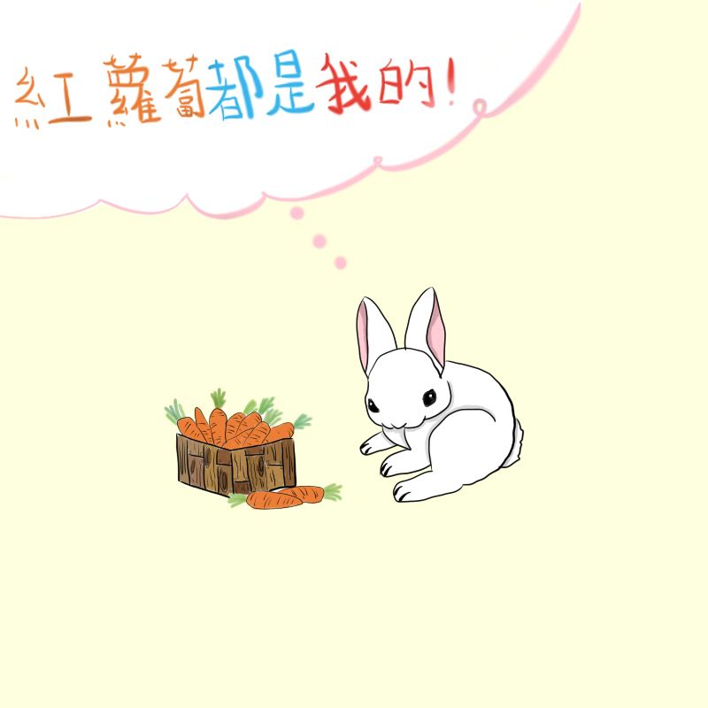 動物詩 兔子 Miumiu Miumiu