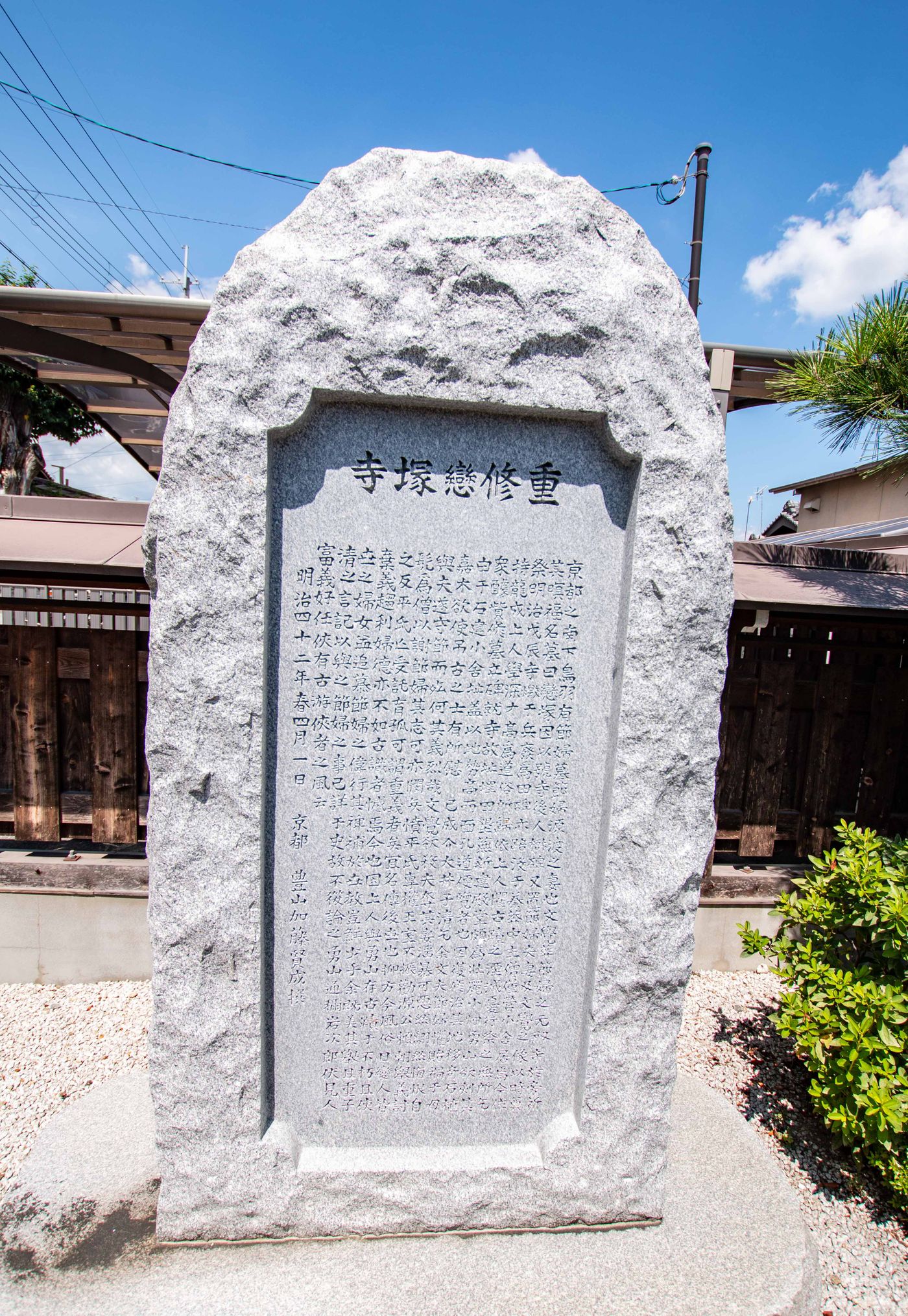 raw-image