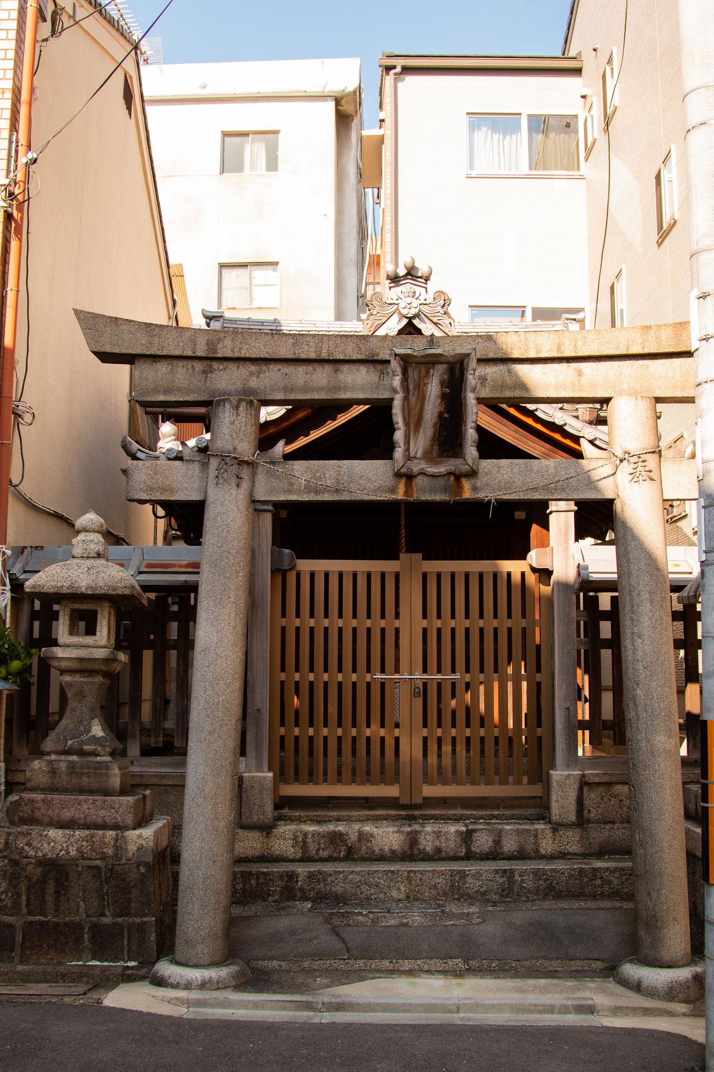 raw-image