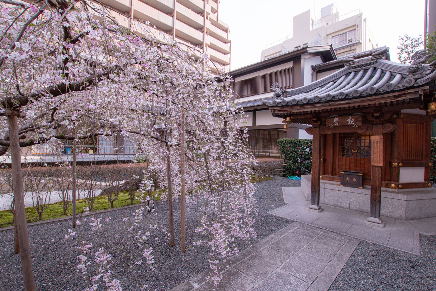 親鸞堂