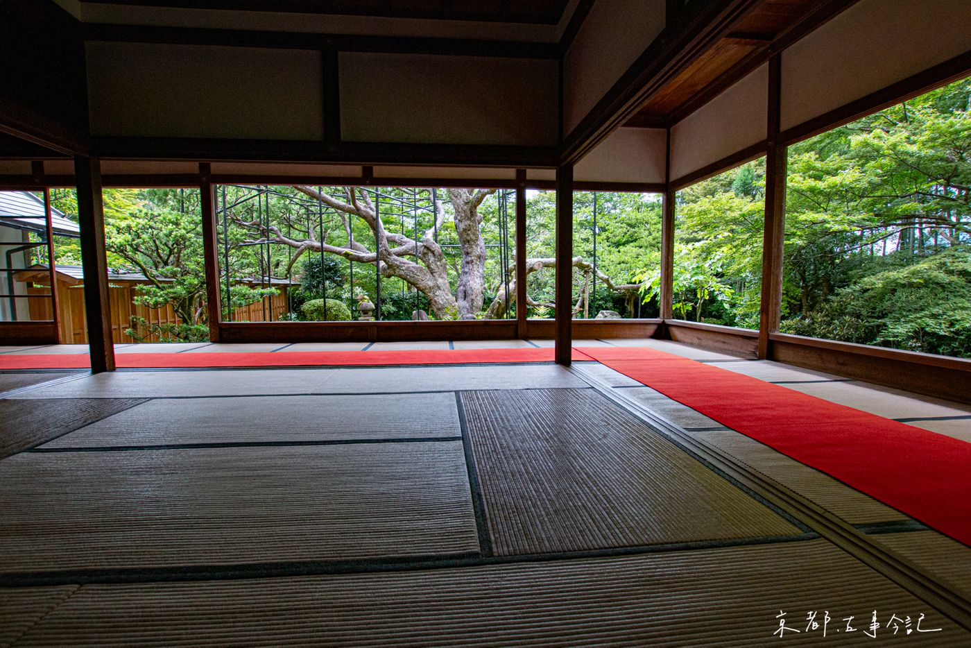 「額緣庭園」