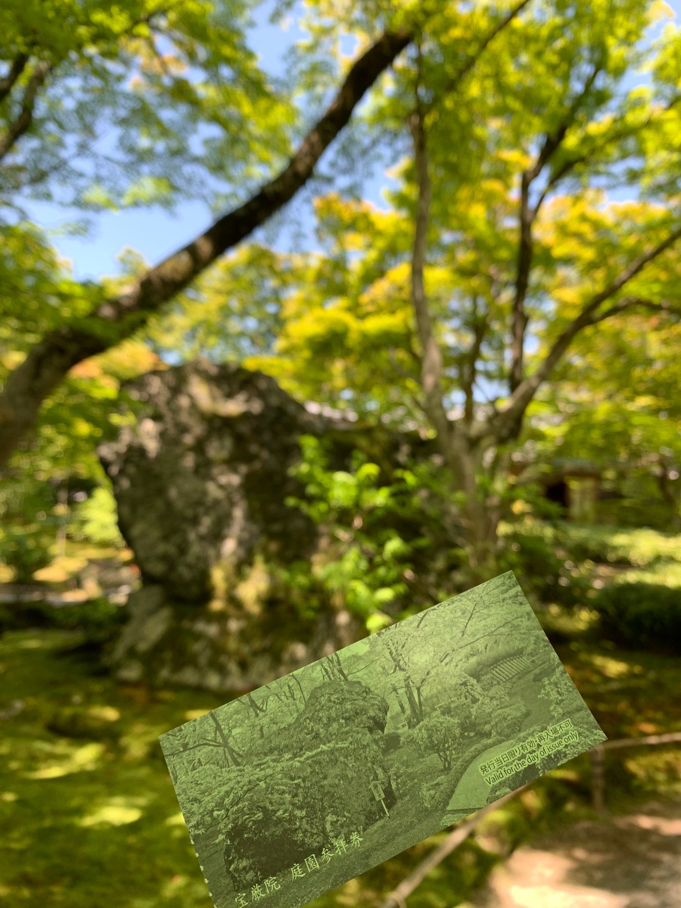 raw-image
