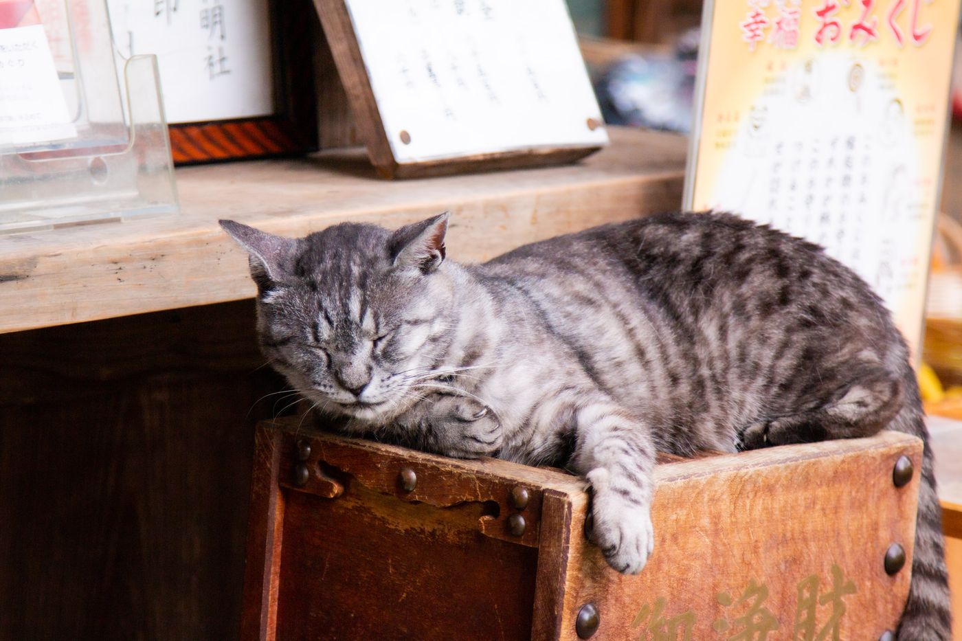 招財貓