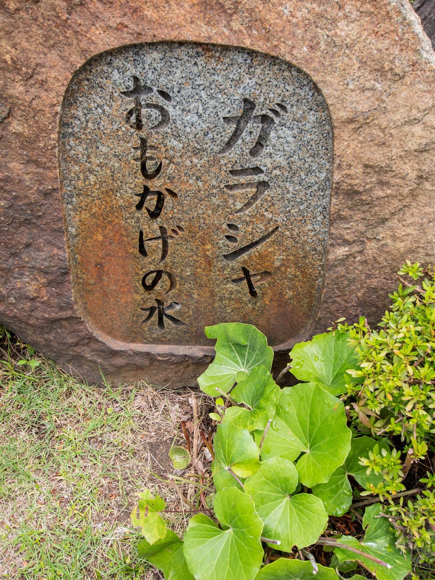 raw-image