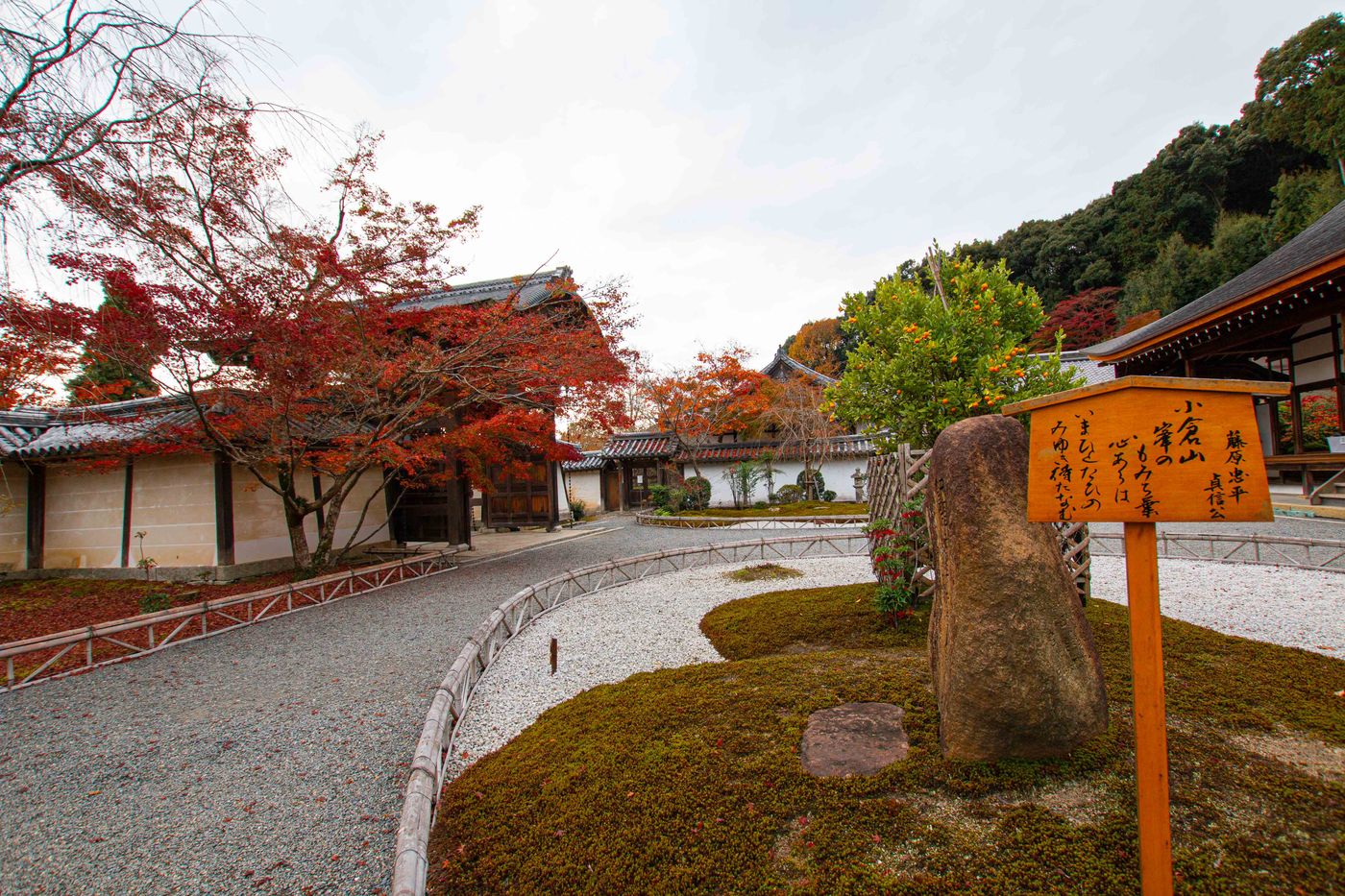 raw-image