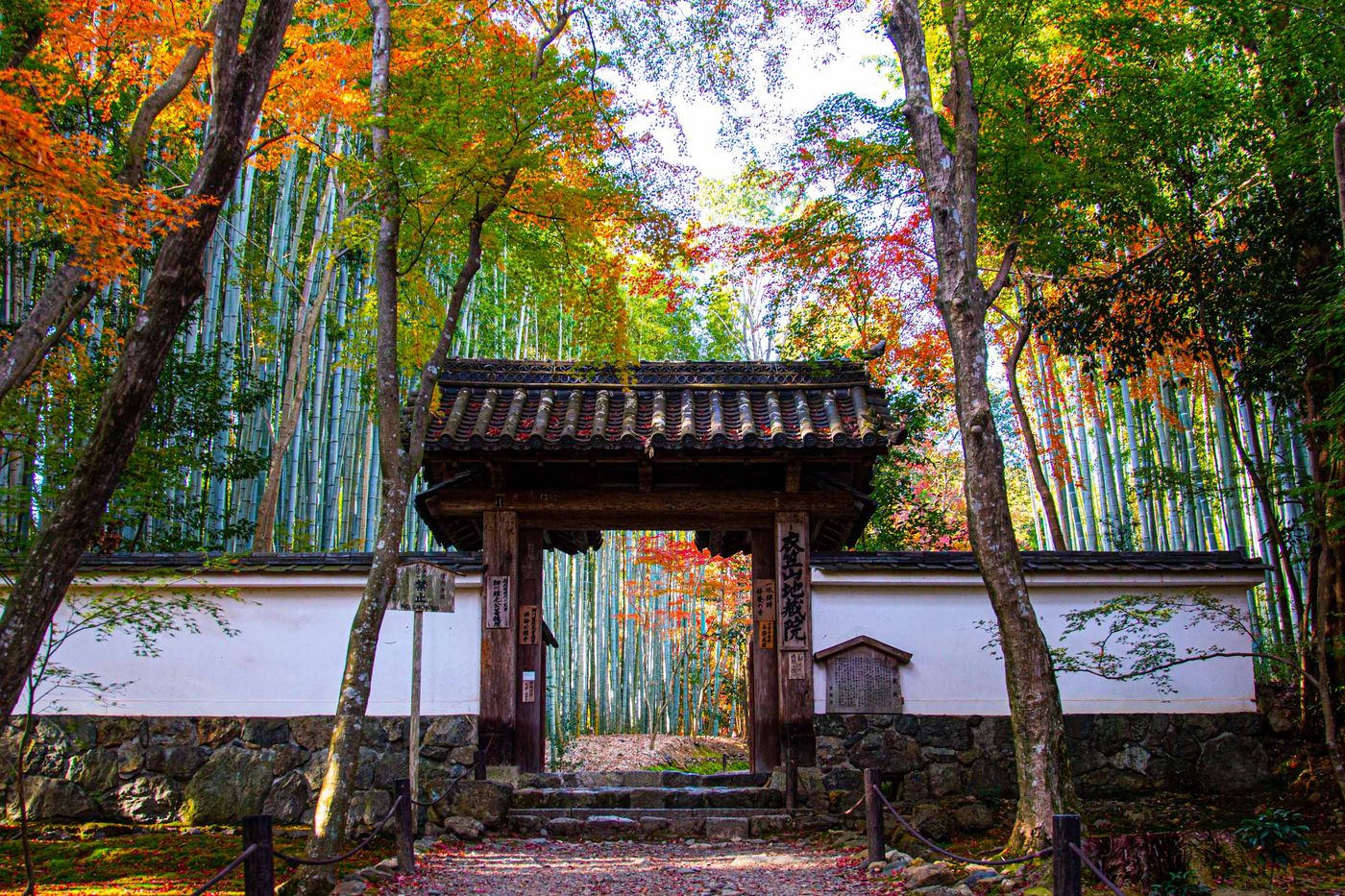 地藏院.竹寺-一休和尚度過童年的地方｜方格子vocus