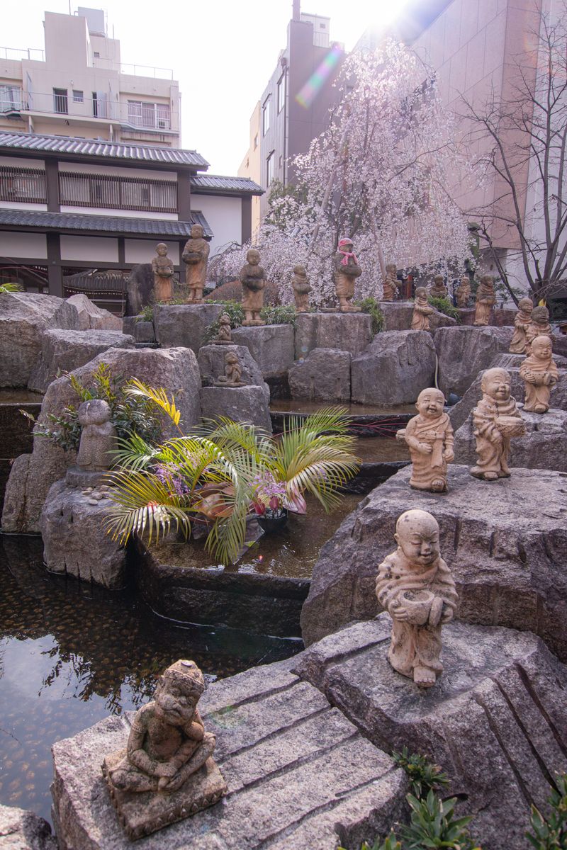 御幸桜 十六羅漢